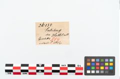 Etikett zu Bronzepetschaftkopfnadel (NHMW-PRAE-026138)